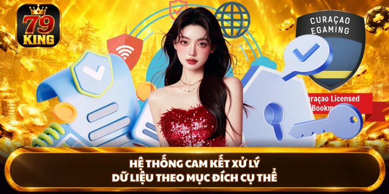 Hệ thống cam kết xử lý dữ liệu theo mục đích cụ thể